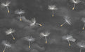 Dandelion Wallpaper Mural | Dandelion Wallpaper with Grey Background - Carving wallpaper