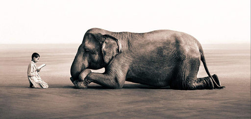 Elephant Wallpaper Mural | Human Elephant Coexistence Mural - Carving wallpaper