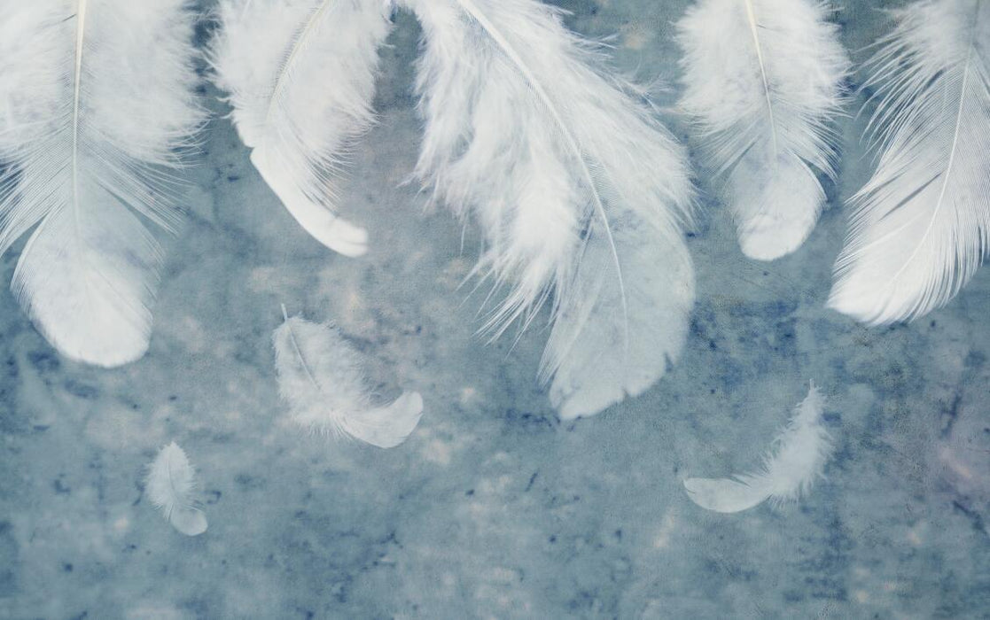 Feather Wallpaper Mural | Soft Feather Blues Background - Carving wallpaper