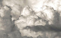 Fengyun Wallpaper Mural | Dreamy Clouds, Sea, Flying Birds, Natural Wind Wallpaper - Carving wallpaper