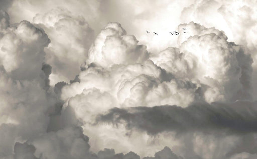 Fengyun Wallpaper Mural | Dreamy Clouds, Sea, Flying Birds, Natural Wind Wallpaper - Carving wallpaper
