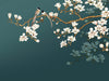 Flower and bird style wallpaper | Elegant Zen style decorative wall in living room and bedroom