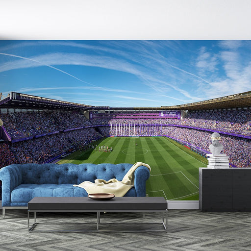 Football stadium panoramic wallpaper mural | Fan bedroom living room decoration - Carving wallpaper