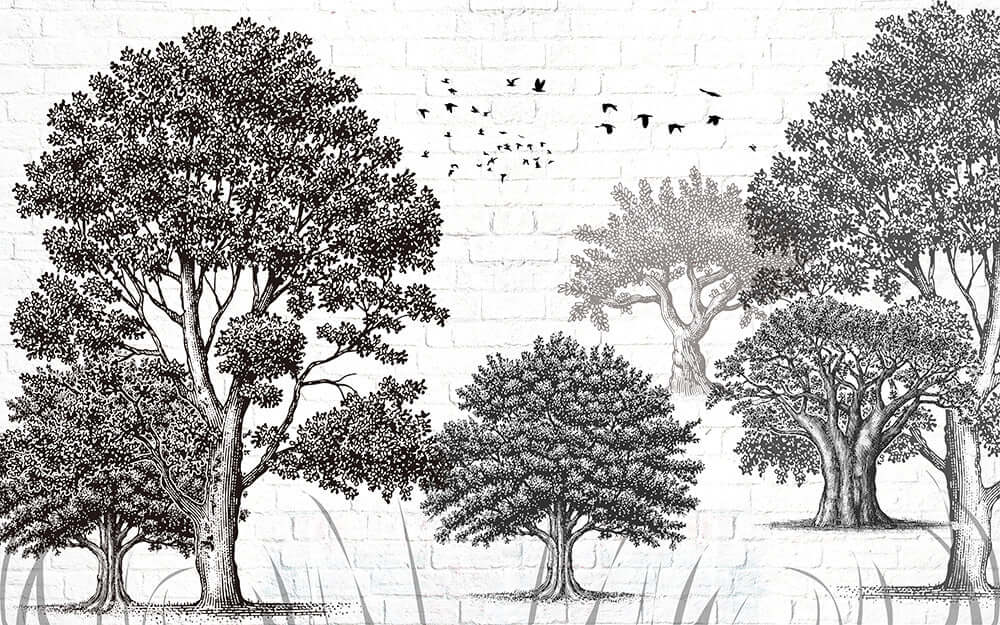 Forest Art Dream Wallpaper Mural | Black & White Tree Line & Bird Design for Study & Living Room