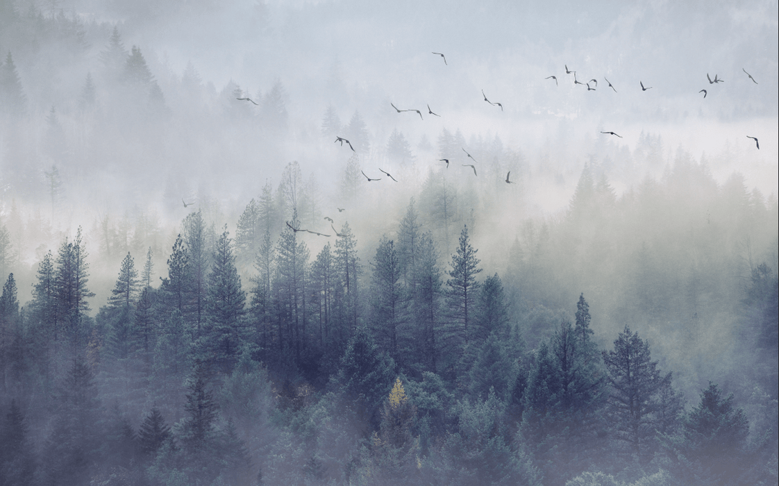 Forest Flying Bird Wallpaper Mural | Flying Birds in the Forest - Carving wallpaper