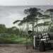 Forest scenery wallpaper mural | the picture of green trees to create fresh and natural - Carving wallpaper
