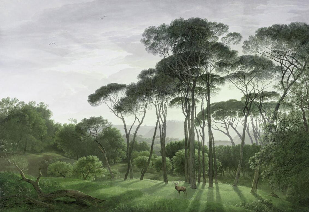 Forest scenery wallpaper mural | the picture of green trees to create fresh and natural - Carving wallpaper