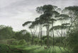 Forest scenery wallpaper mural | the picture of green trees to create fresh and natural - Carving wallpaper