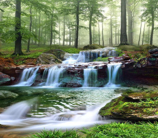 Forest stream theme wallpaper mural | surrounded by green trees to show the natural quiet - Carving wallpaper