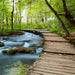 Forest Stream & Wooden Bridge Wallpaper Mural – Serene Nature Escape for Home Decor