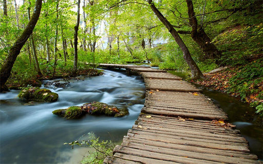 Forest Stream & Wooden Bridge Wallpaper Mural – Serene Nature Escape for Home Decor