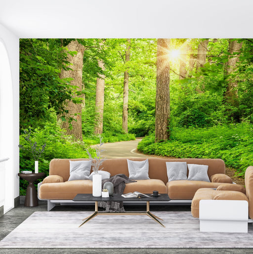 Forest Sunshine Trail Wallpaper Mural | Living Room and Bedroom Natural Wind Decoration - Carving wallpaper