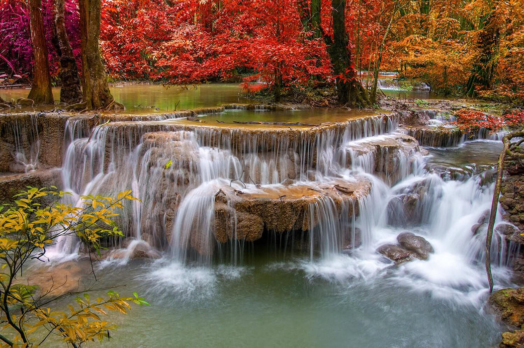 Forest Waterfall Wallpaper Mural | Red Autumn Leaves & Waterfall Scene | Nature Wall Mural for Bedroom & Living Room | Fra