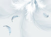 Gentle Feather Mural | Wallpaper - Carving wallpaper