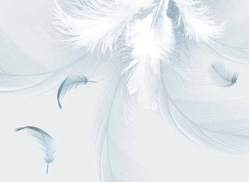 Gentle Feather Mural | Wallpaper - Carving wallpaper