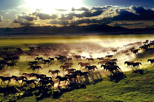 Grassland horse herd wallpaper mural | Living room and bedroom natural style decoration - Carving wallpaper