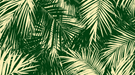 Green and beige leaf wallpaper mural | Palm trees and tropical - Carving wallpaper
