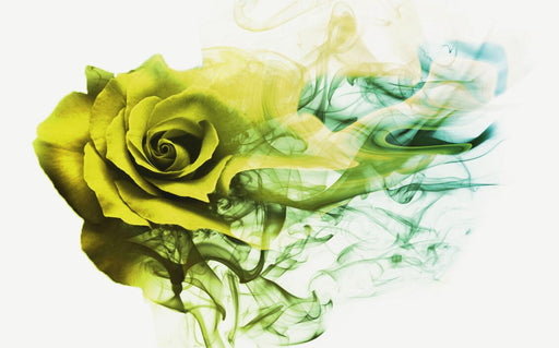 Green rose smoke wallpaper mural | bright color, full of artistic sense - Carving wallpaper