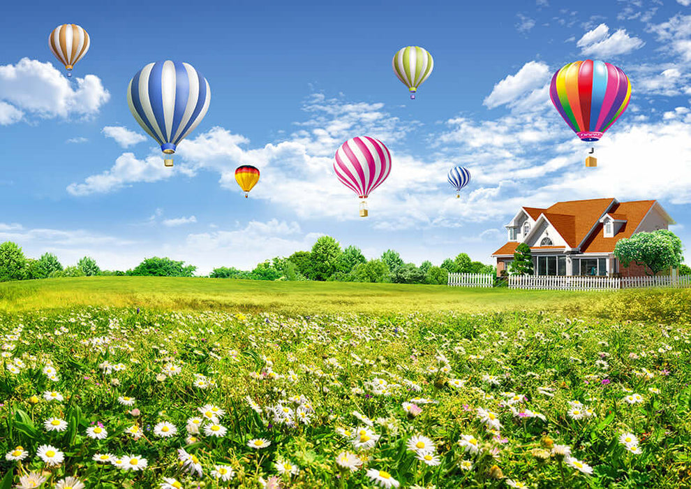 Hot air balloon countryside wallpaper mural/fresh healing decorative wall - Fairy Tale Town scene with balloons over meadow and house