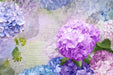 Hydrangea Wallpaper Mural | Romantic Purple Blue Hydrangea Revival of Ancient Style with soft light purple, pink, and blue hydrangeas