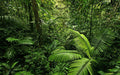 Immerse in Emerald | Deep Jungle Wallpaper Mural | Luxe Nature Décor | Transform Any Room! — Deep green tropical rainforest scene with lush ferns and dense greenery