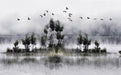 Ink landscape wallpaper mural | Dynamic flying birds and reflections - Carving wallpaper