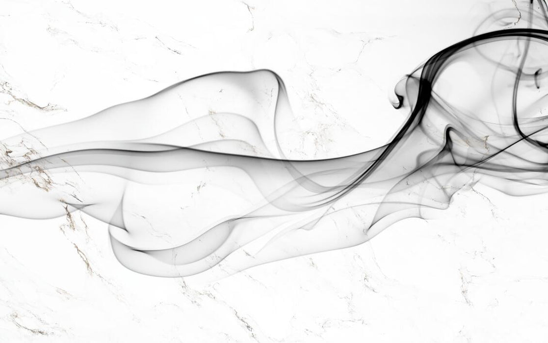 Ink style mural wallpaper | Black and white lines outline a lively and dynamic atmosphere - Carving wallpaper