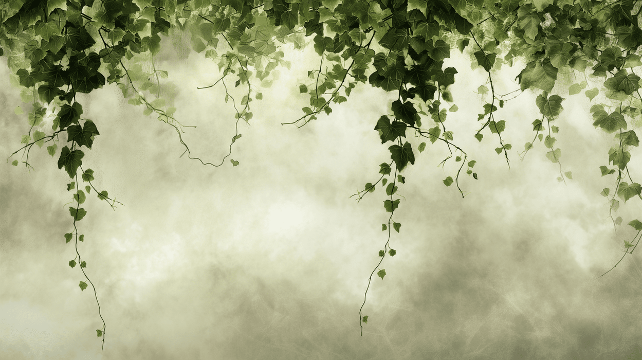 Ivy hanging vine wallpaper mural | Vine branches and leaves falling freely - Carving wallpaper