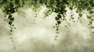 Ivy hanging vine wallpaper mural | Vine branches and leaves falling freely - Carving wallpaper