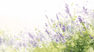 Lavender wallpaper watercolor style - Carving wallpaper