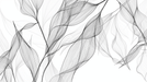 Leaf wallpaper in black and white abstract style - Carving wallpaper