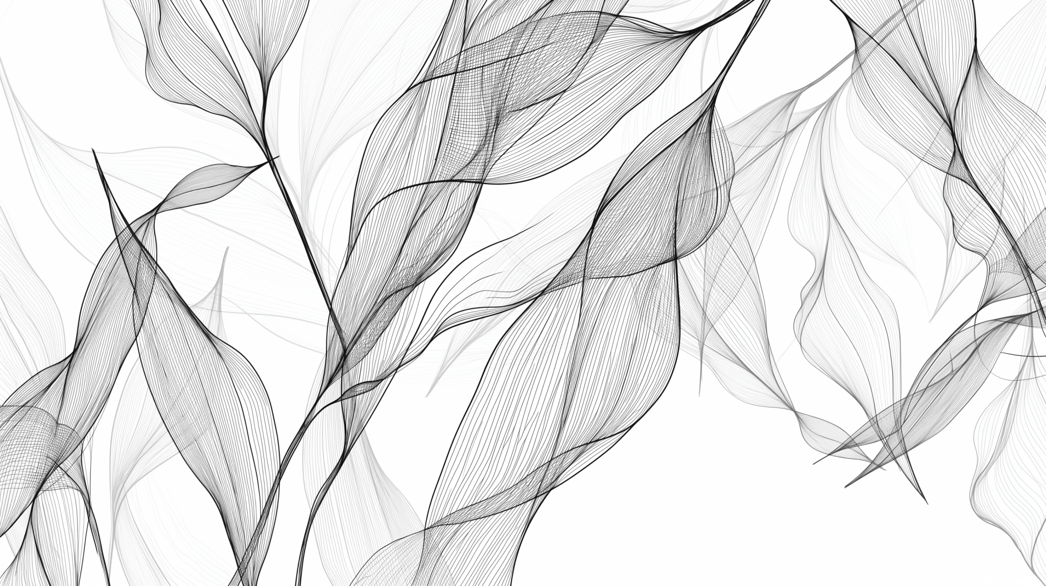 Leaf wallpaper in black and white abstract style - Carving wallpaper