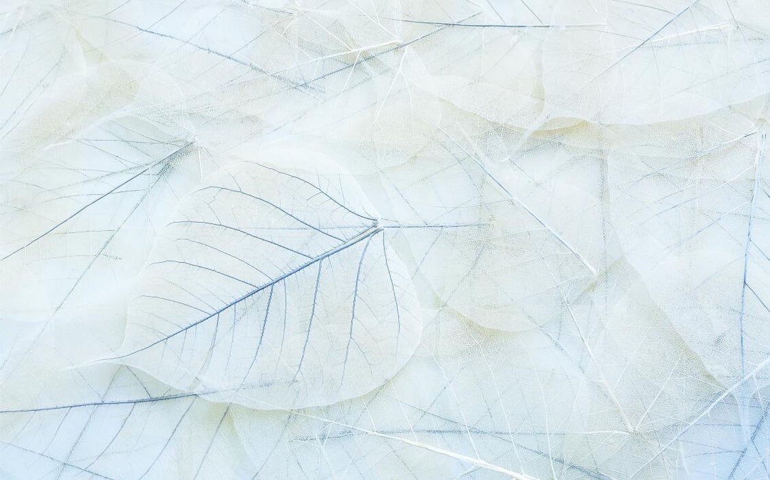 Leaf Wallpaper Mural | Light Blue Leaf Pattern Simple and Fresh Style Decorative Mural - Carving wallpaper