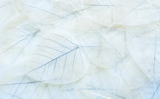 Leaf Wallpaper Mural | Light Blue Leaf Pattern Simple and Fresh Style Decorative Mural - Carving wallpaper