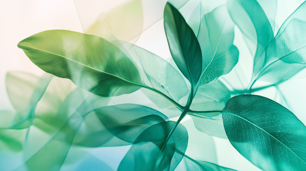 Leaf wallpaper wallpaper | Color gradient from light green to dark green - Carving wallpaper