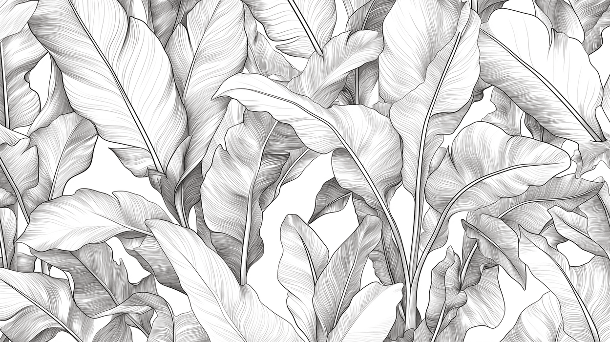 Minimalist Black and White Botanical Leaf Wallpaper Mural - Fine Line Art