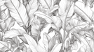 Minimalist Black and White Botanical Leaf Wallpaper Mural - Fine Line Art