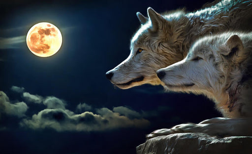 Moonlit double Wolf wallpaper mural | Wolf gazing at the rock shows wild mystery - Carving wallpaper