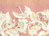 New Chinese Crane Wallpaper | China-Chic Art Mural