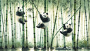 New Chinese style panda bamboo forest wallpaper mural | Chinese style decorative wall in living room and study room