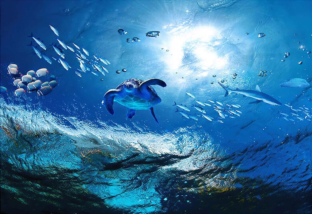 Ocean themed wallpaper | Children's room ocean mural: immersive marine ecological art with ultra realistic 3D sea life, sunlight, turtles, fish schools, blue gradient