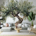 Olive Tree Wallpaper Mural | Watercolor Painting Exquisite Illustrations of Olive Trees - Carving wallpaper