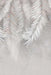 Palm Leaf Wallpaper Mural | Light Grey & White Botanical Décor | Scandinavian & Modern Design