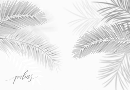Palm Leaf Wallpaper Mural | Pure White Palm Leaves - Carving wallpaper