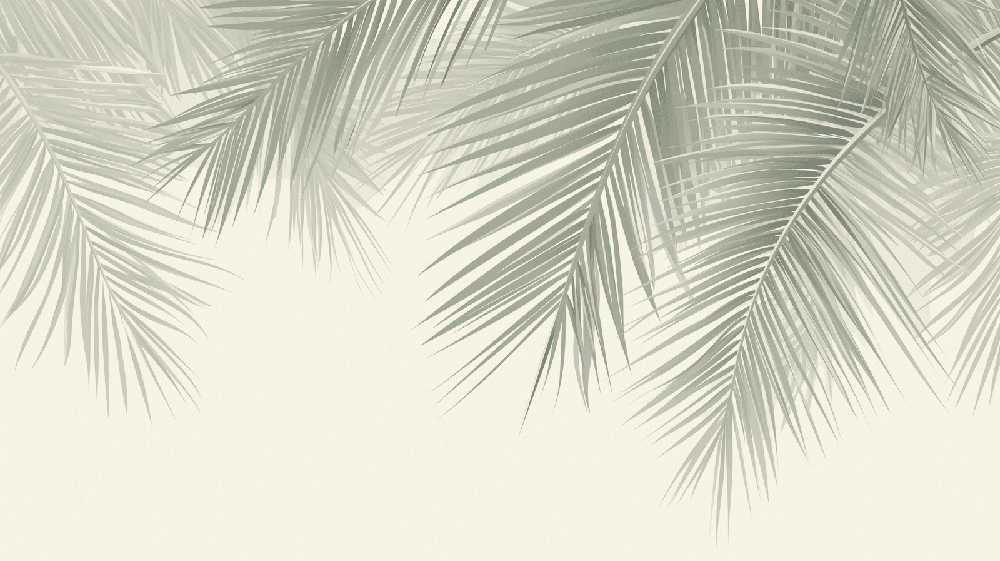 Palm leaf wallpaper mural | Fresh decorative wall in living room and bedroom