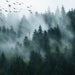 Panoramic Mist Forest Wallpaper: Ethereal Cedar Woods & Mountain Scenery