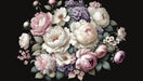 Peony Wallpaper Mural | Black Background Peony Hydrangea with white, pink, and purple flowers on a black backdrop