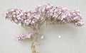 Pink Flower Mural | A Wallpaper Full of Pink Flowers - Carving wallpaper