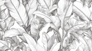 Plant Leaf Wallpaper Mural | Black and White Leaves - Carving wallpaper