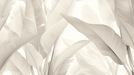 Plant Leaf Wallpaper Mural | Tropical Rainforest - Carving wallpaper